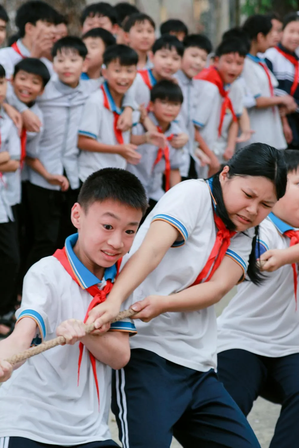 Ngọc Bích Kiều on Pexels