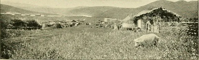 Internet Archive Book Images on Wikimedia Commons