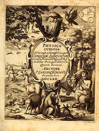 Image from Wikipedia