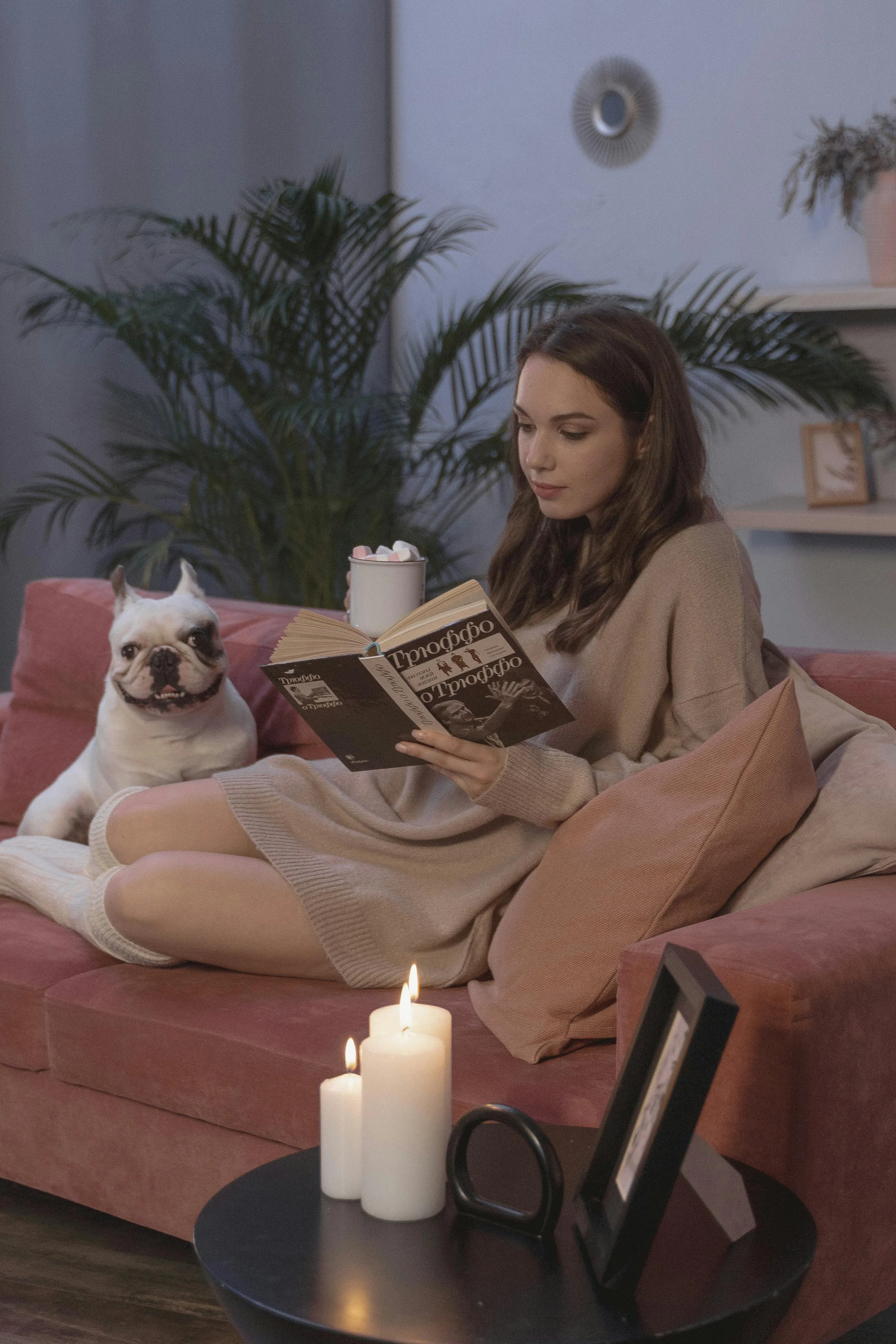 Tima Miroshnichenko on pexels