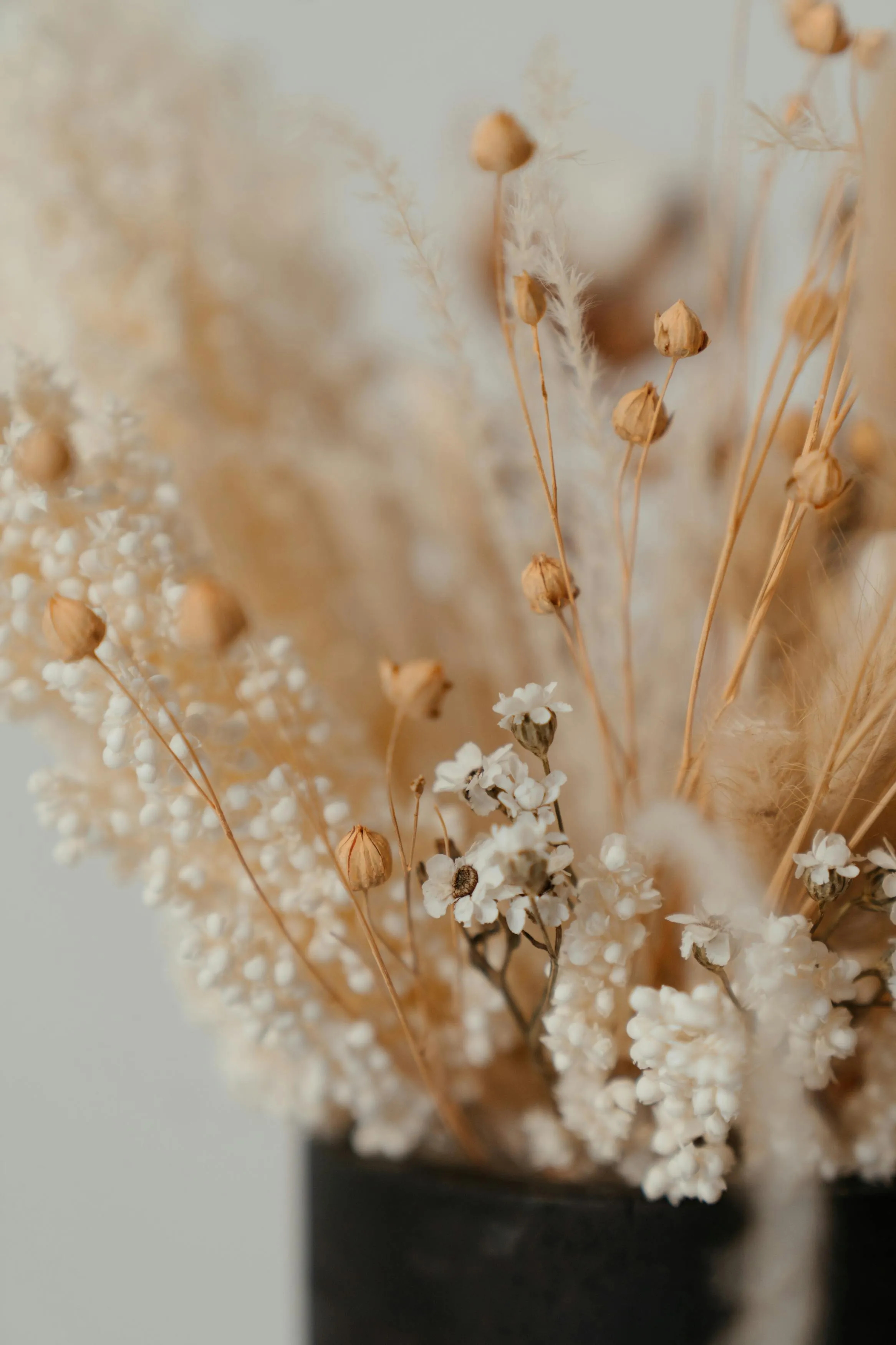  cottonbro studio on Pexels