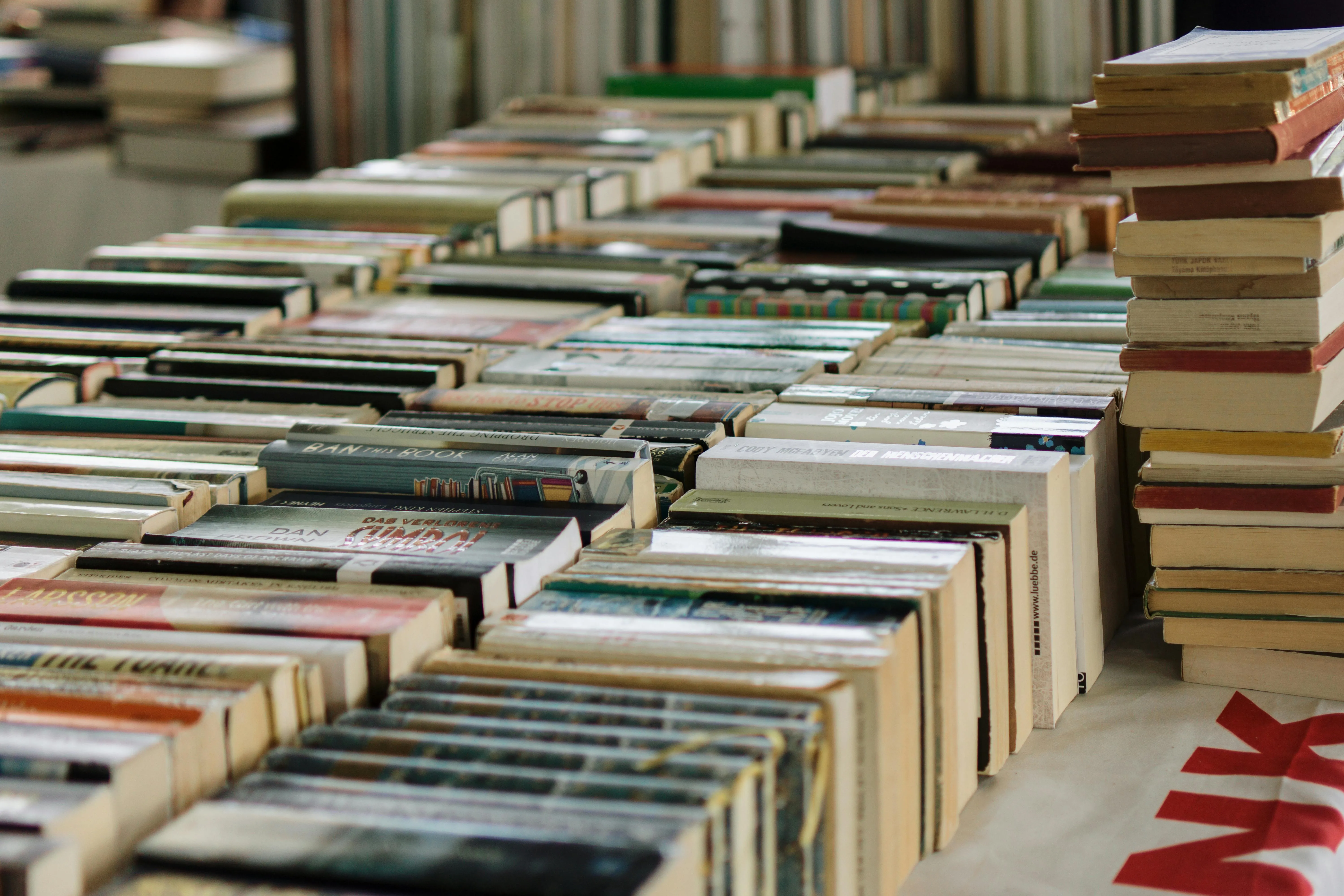13 Book Fair Buys That Everyone Wanted
