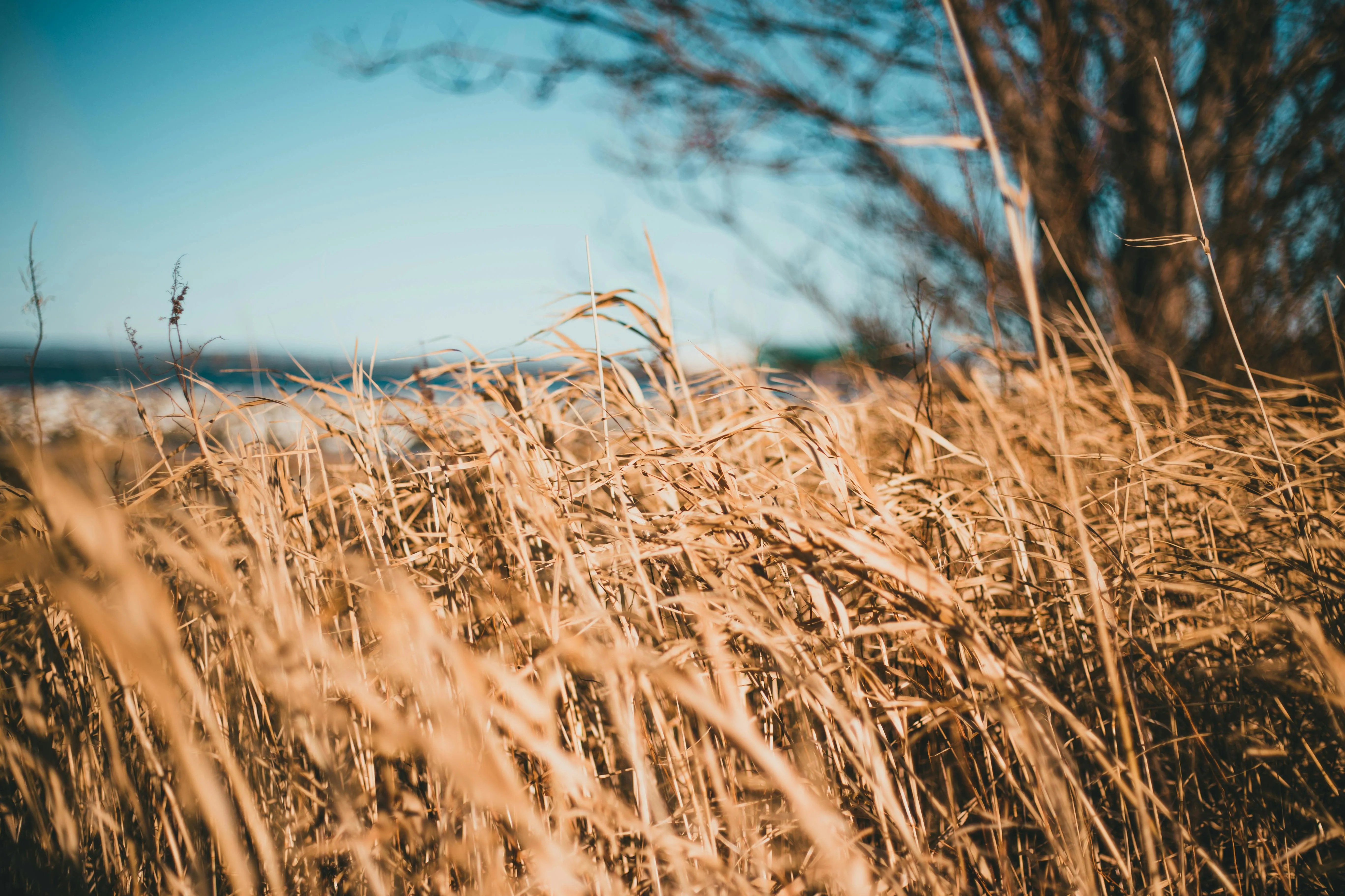 Erik Mclean on Pexels