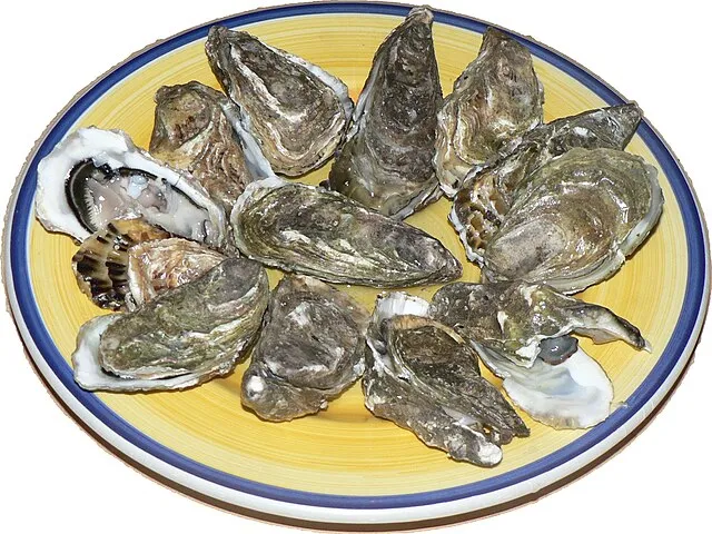 David Monniaux on Wikimedia Commons