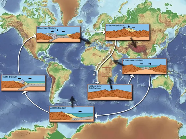 18 Natural Cycles That Influence Ecosystems