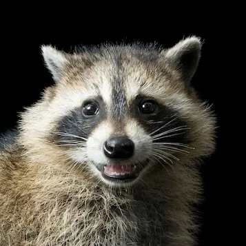 Image from National Geographic