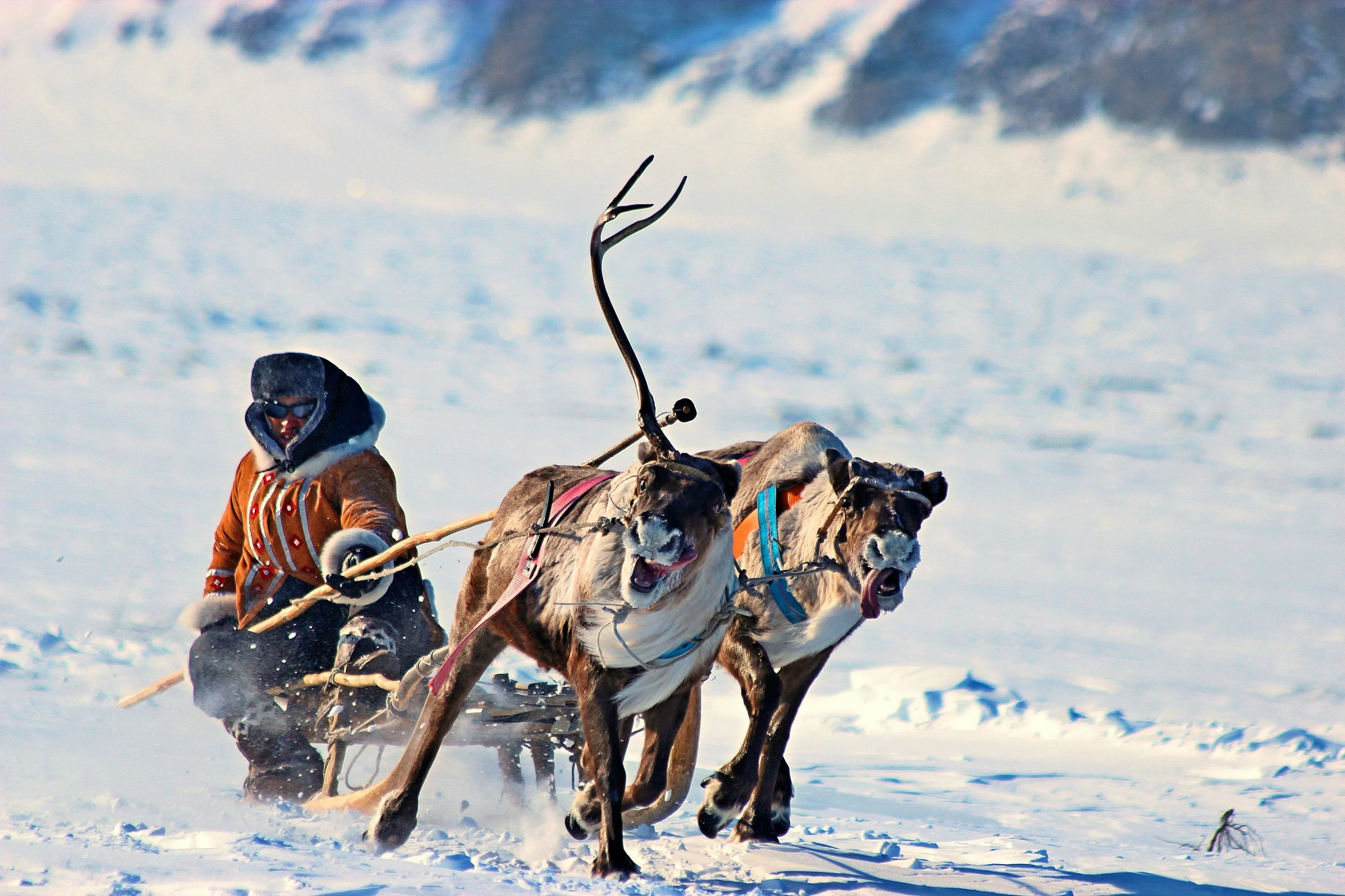 Александр Велигура on pexels