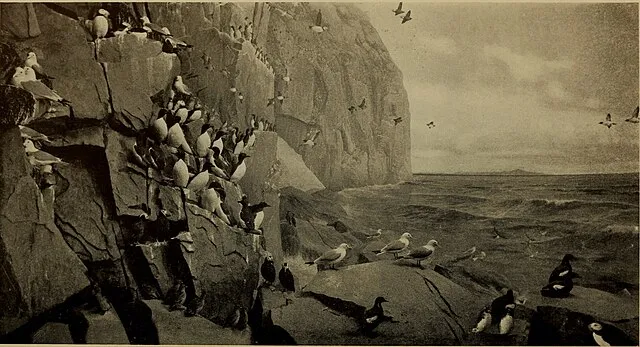 American Museum of Natural History on Wikimedia Commons