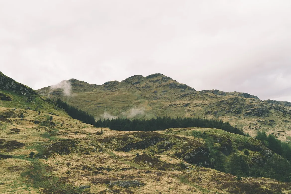 Robert Haverly from Unsplash