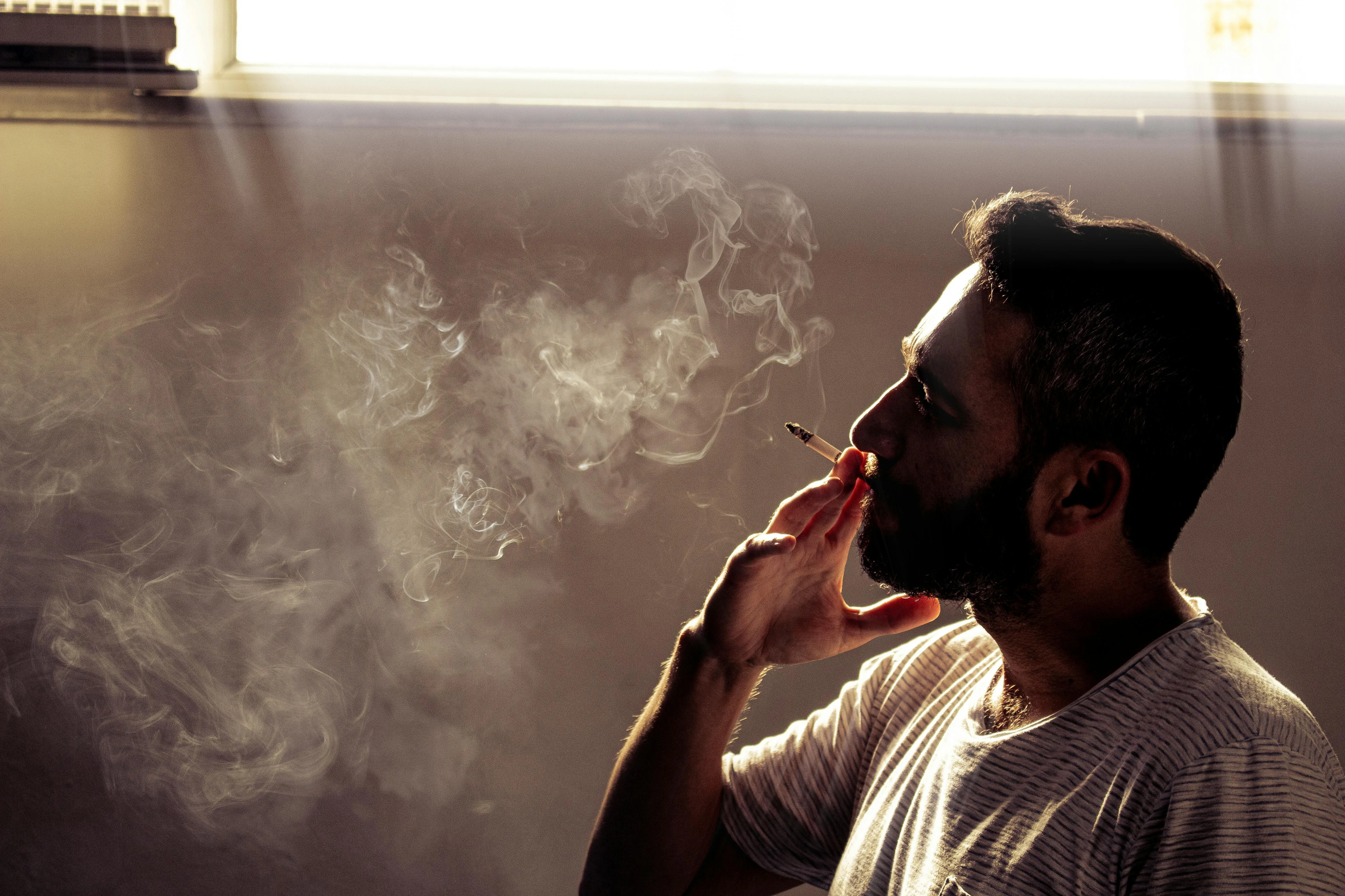 Alimurat Üral on Pexels