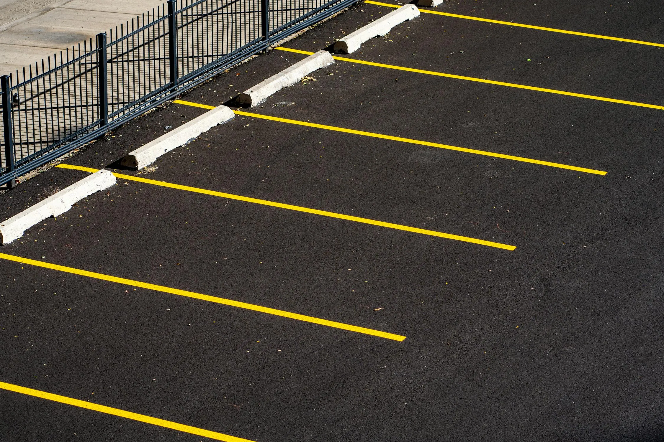 Otto Rascon on Pexels 
