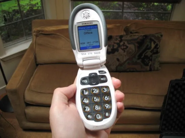 Lisa Davis from Silicon Valley, USA on Wikimedia Commons 