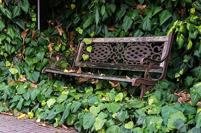 Dietmar Rabich on Wikimedia Commons