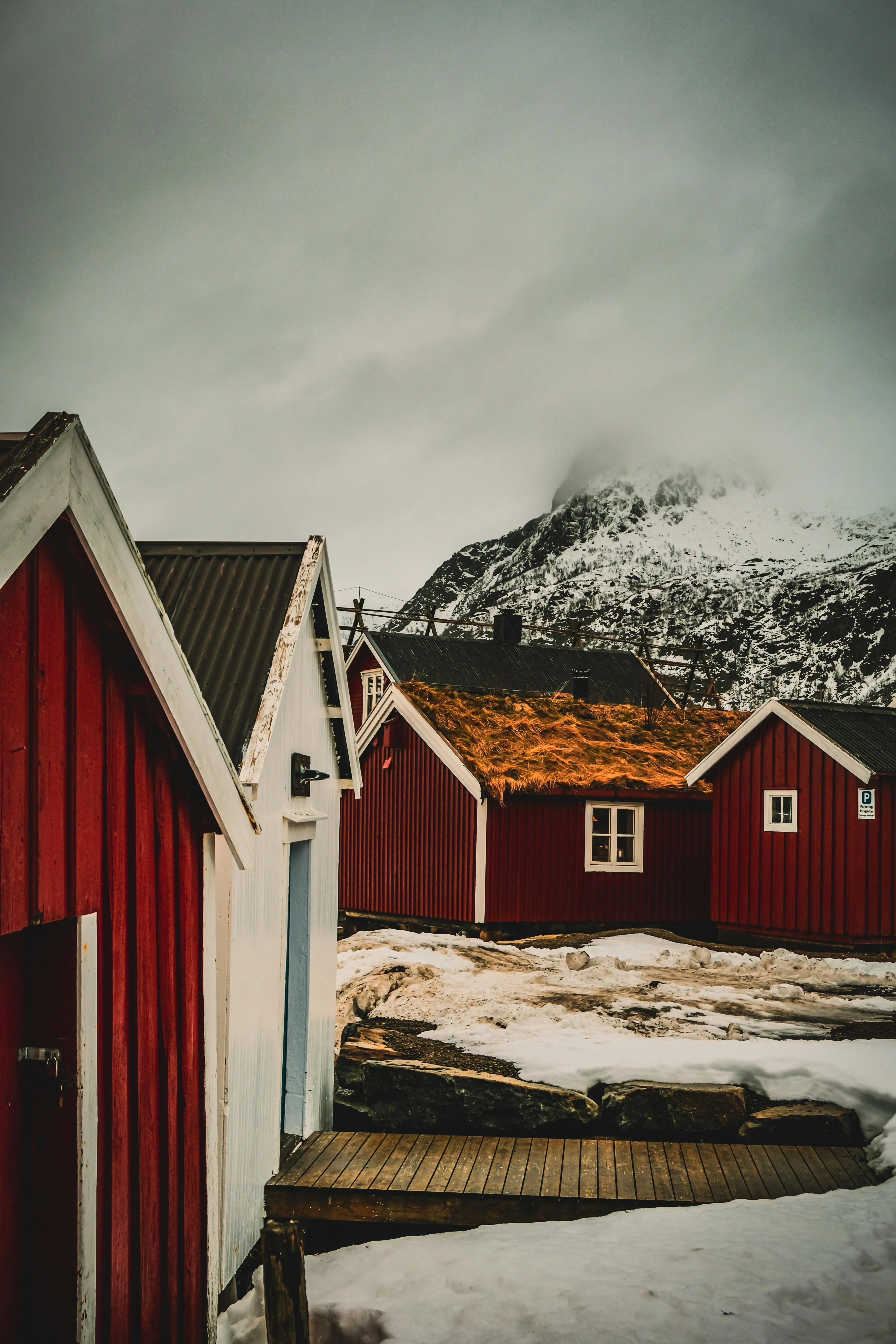 Ayco World on pexels