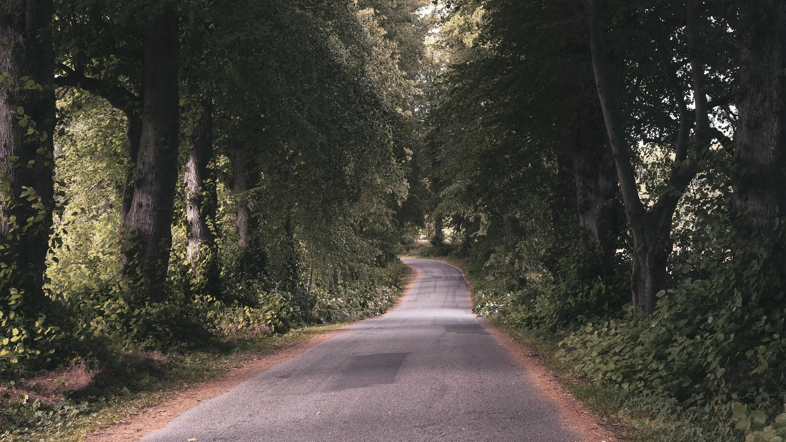 Martin Dalsgaard on Pexels