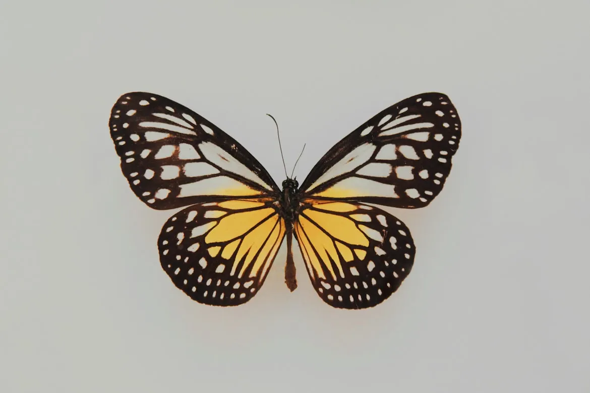 Fleur from Unsplash