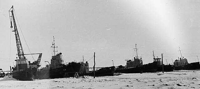 Vital · Kaliningrad on wikimedia