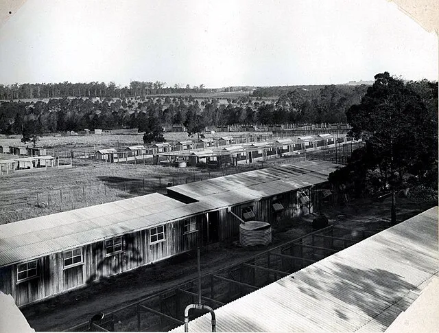 Photographic Collection on Wikimedia Commons