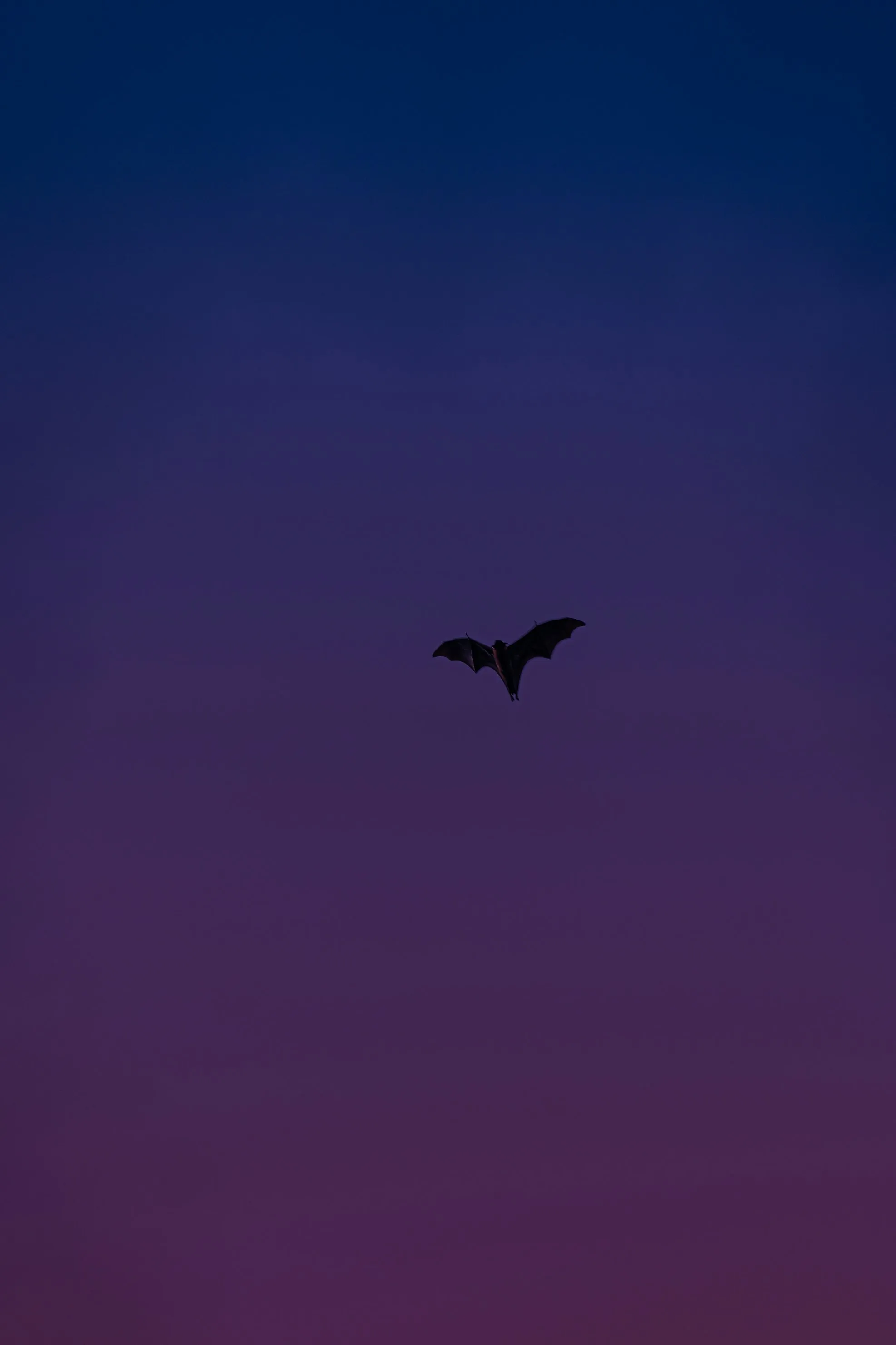 Vikram Nair on Unsplash