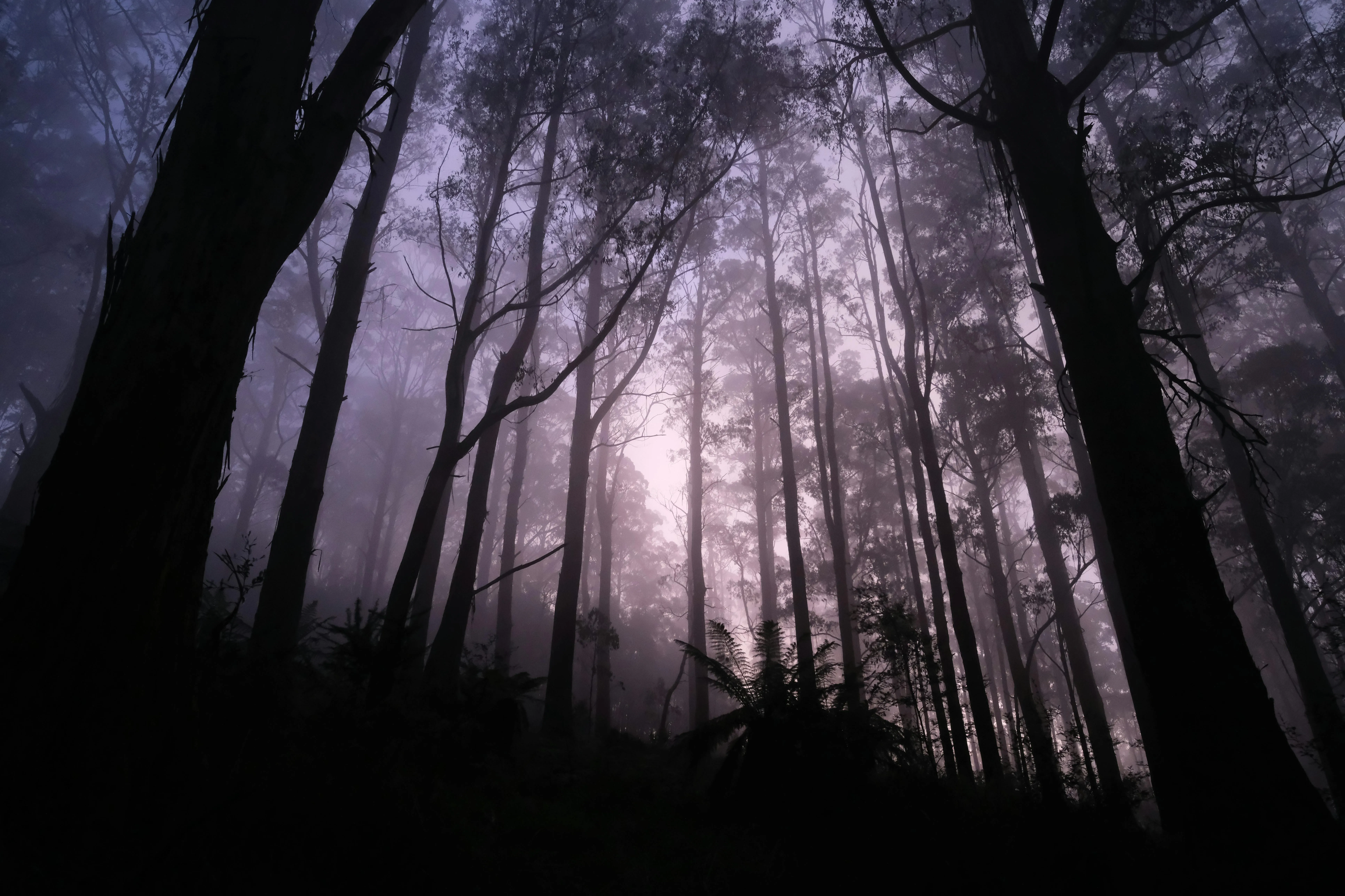 12 Well-Documented Disappearances From History