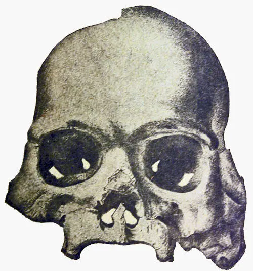 Image from Wikipedia