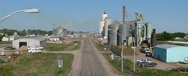 Ammodramus on Wikimedia Commons