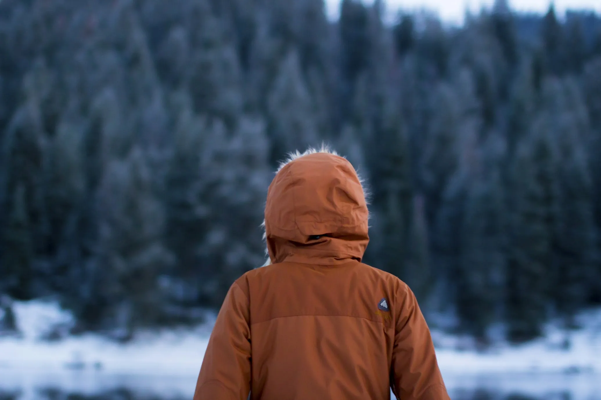 Daniel Bowman from Unsplash