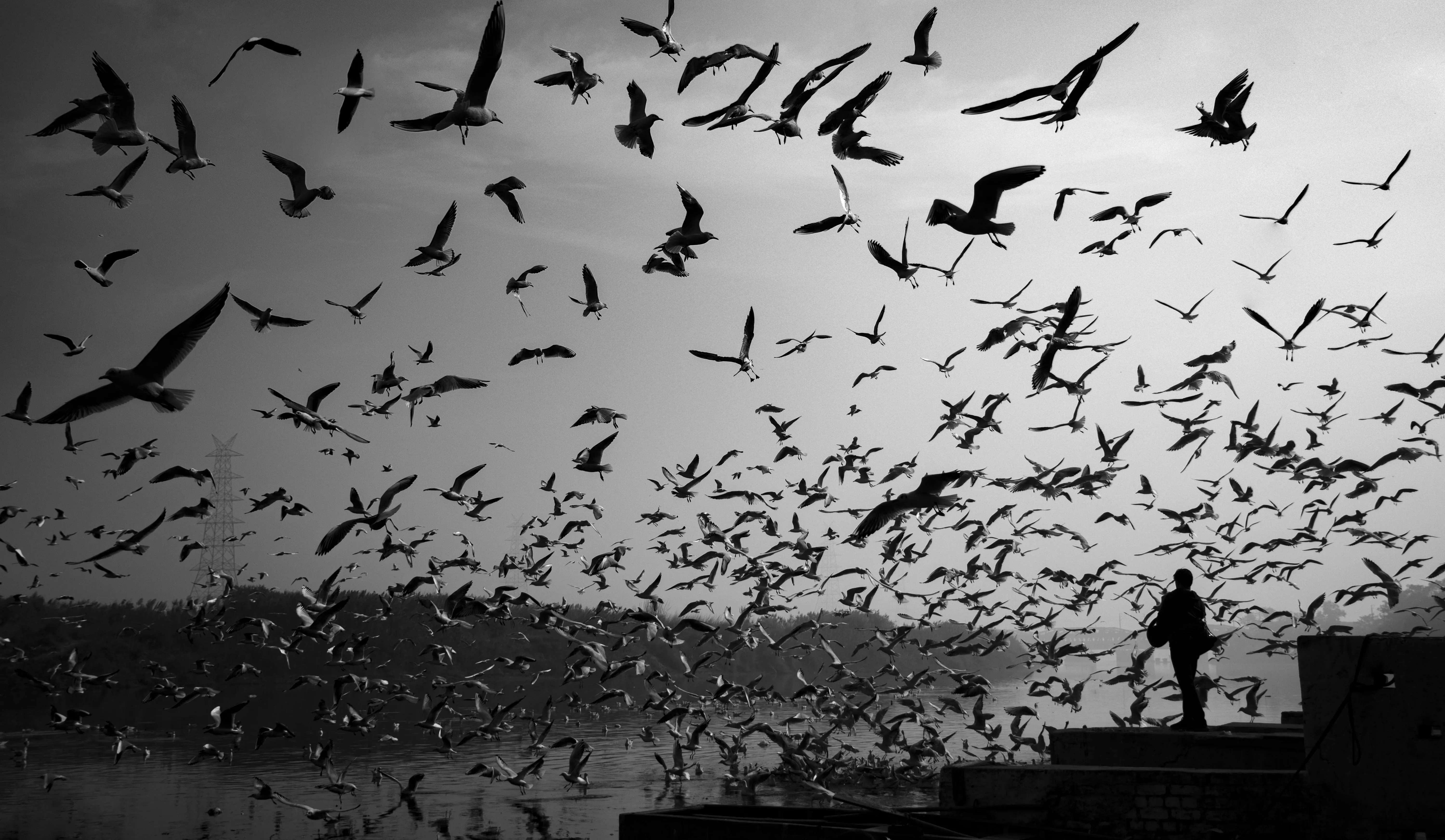 throughmylife_in_ INDIA on Pexels