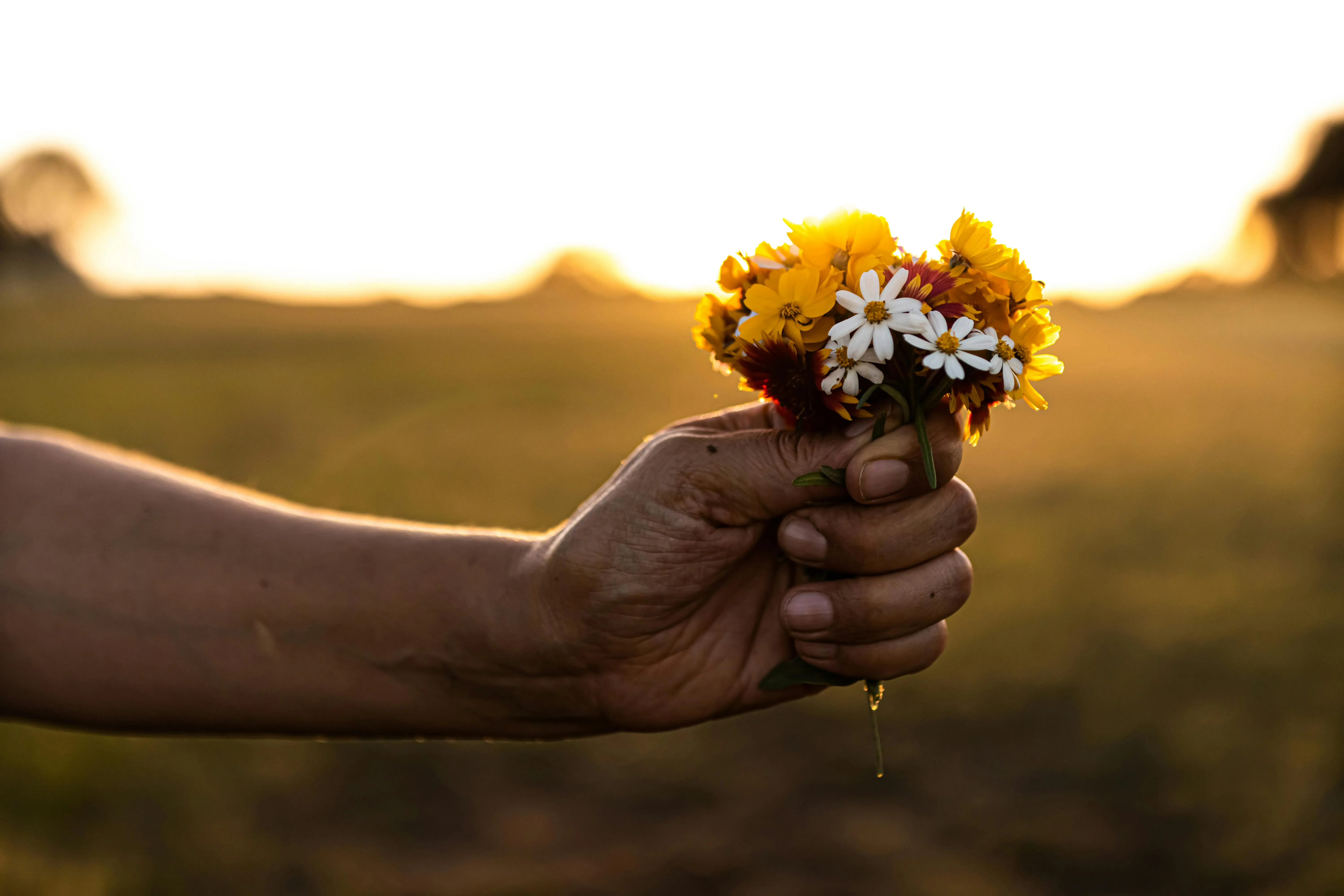18 Spring Activities That Required Little Planning