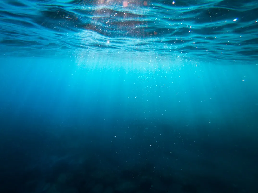 10 Marine Species Discovered in the Last Few Decades