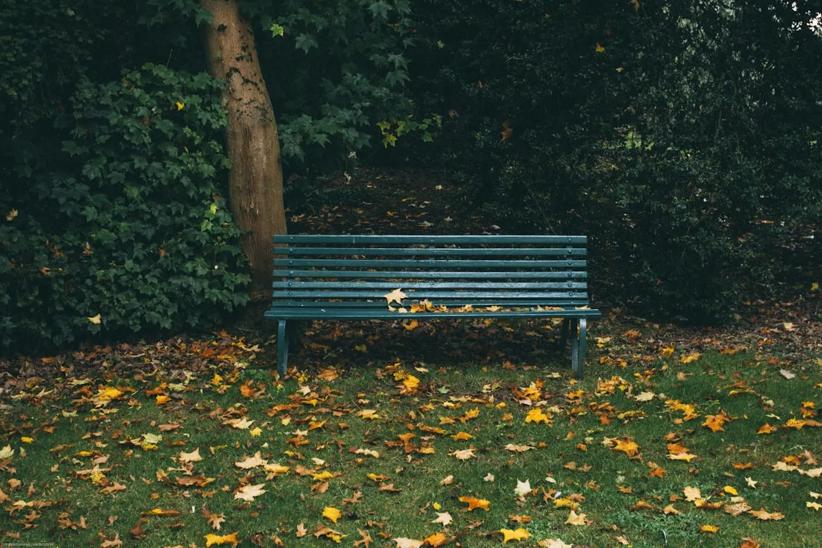 Will Paterson from Unsplash