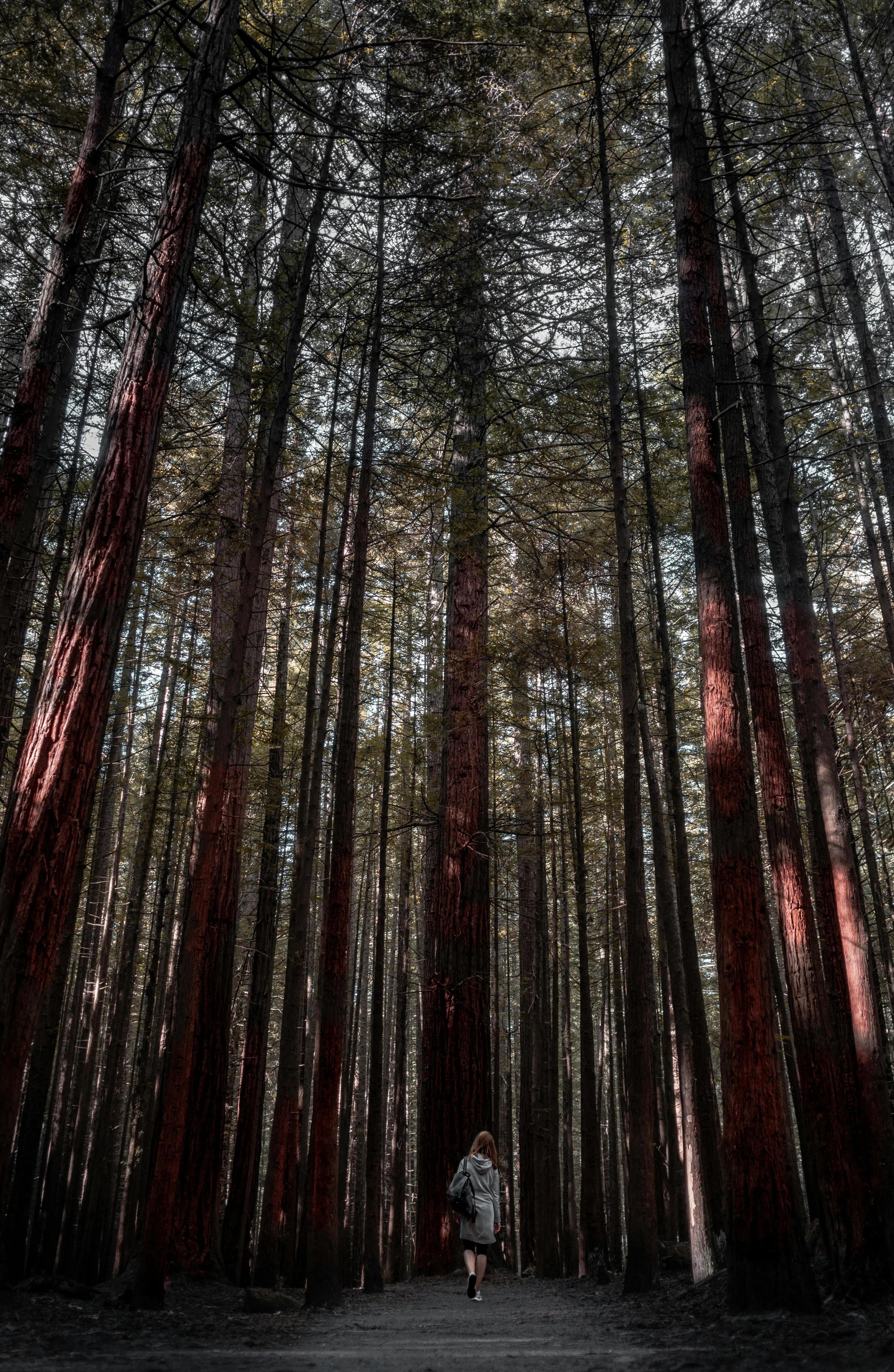 Gantas Vaičiulėnas on Pexels