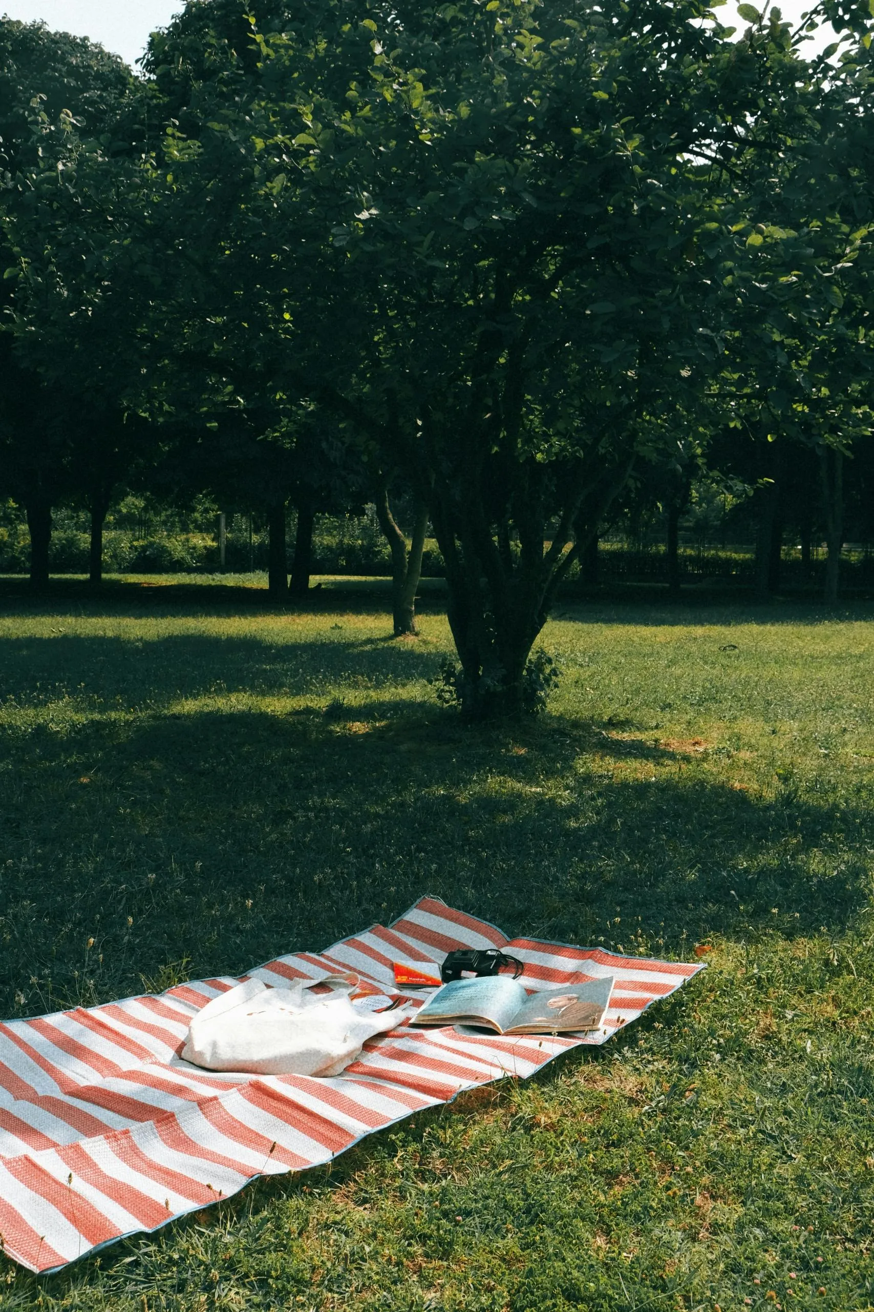 Ayşenaz Bilgin on Pexels