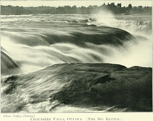 Internet Archive Book Images on Wikimedia Commons