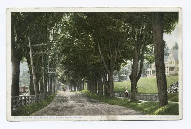 Detroit Publishing Company on Wikimedia Commons
