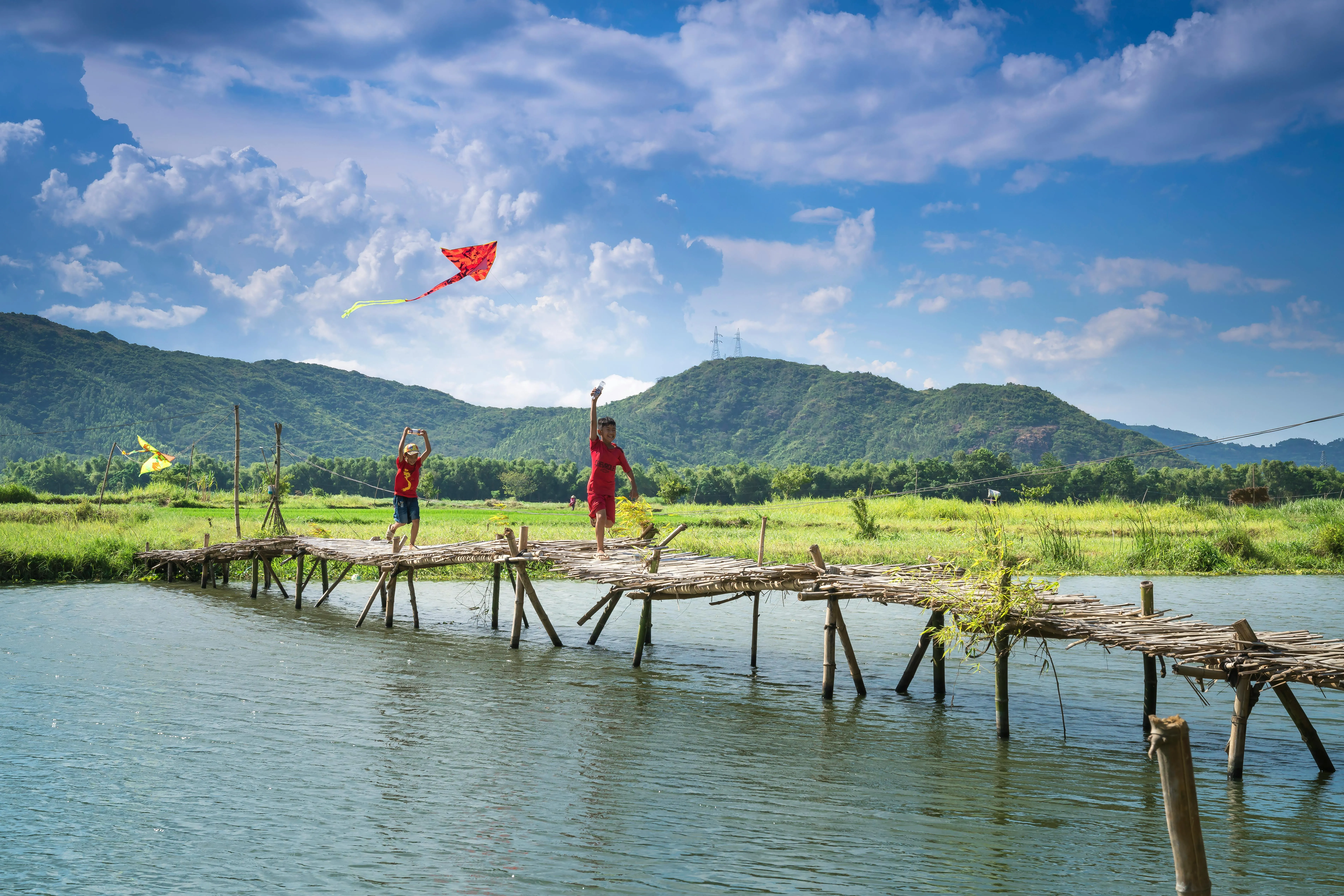 Quang Nguyen Vinh on Pexels