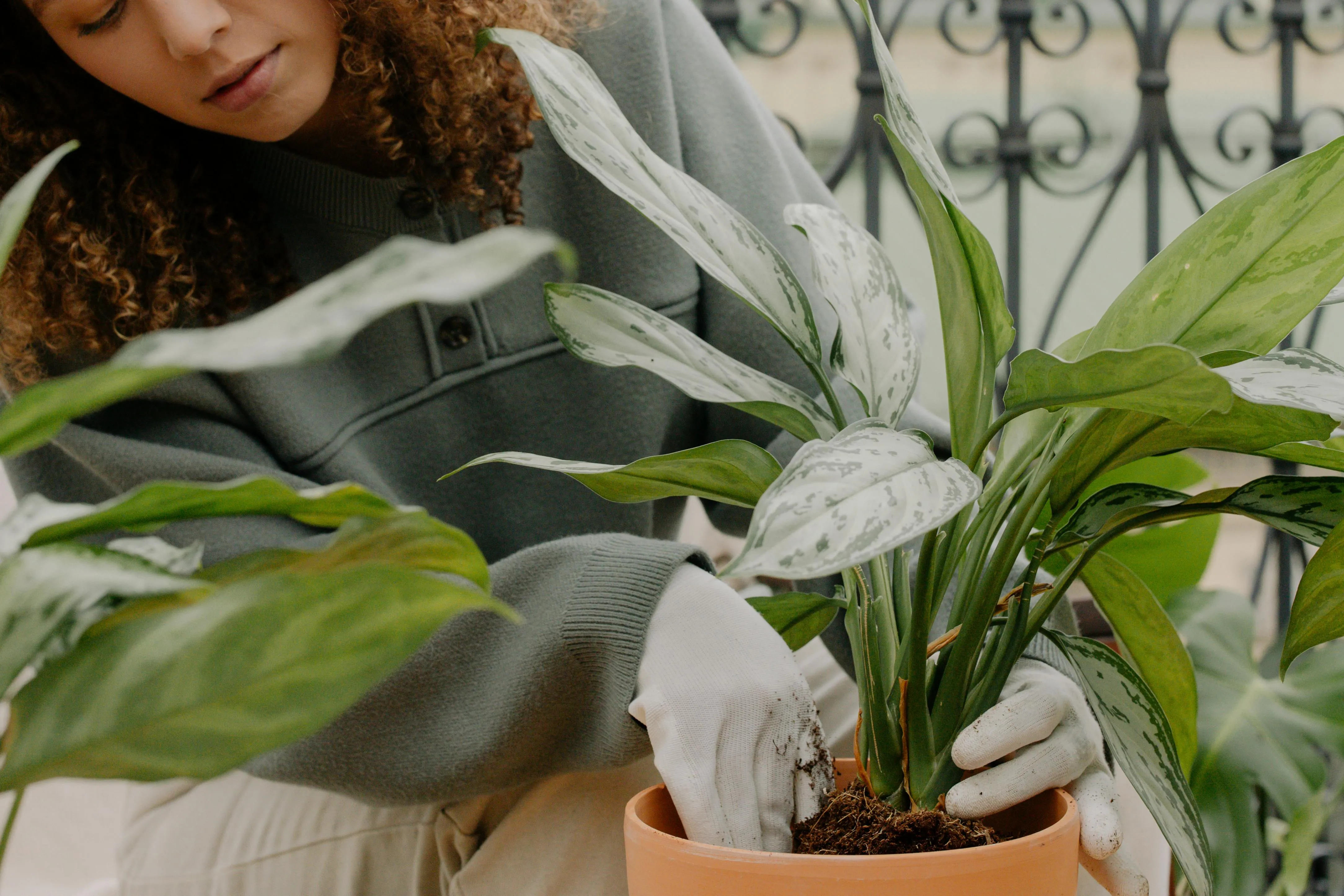 cottonbro studio on Pexels
