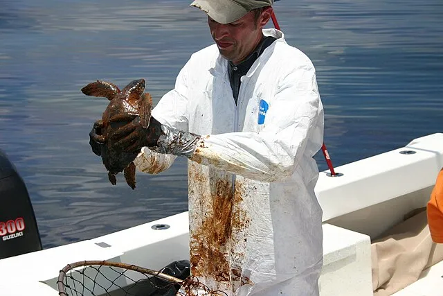 NOAA’s National Ocean Service on Wikimedia Commons 
