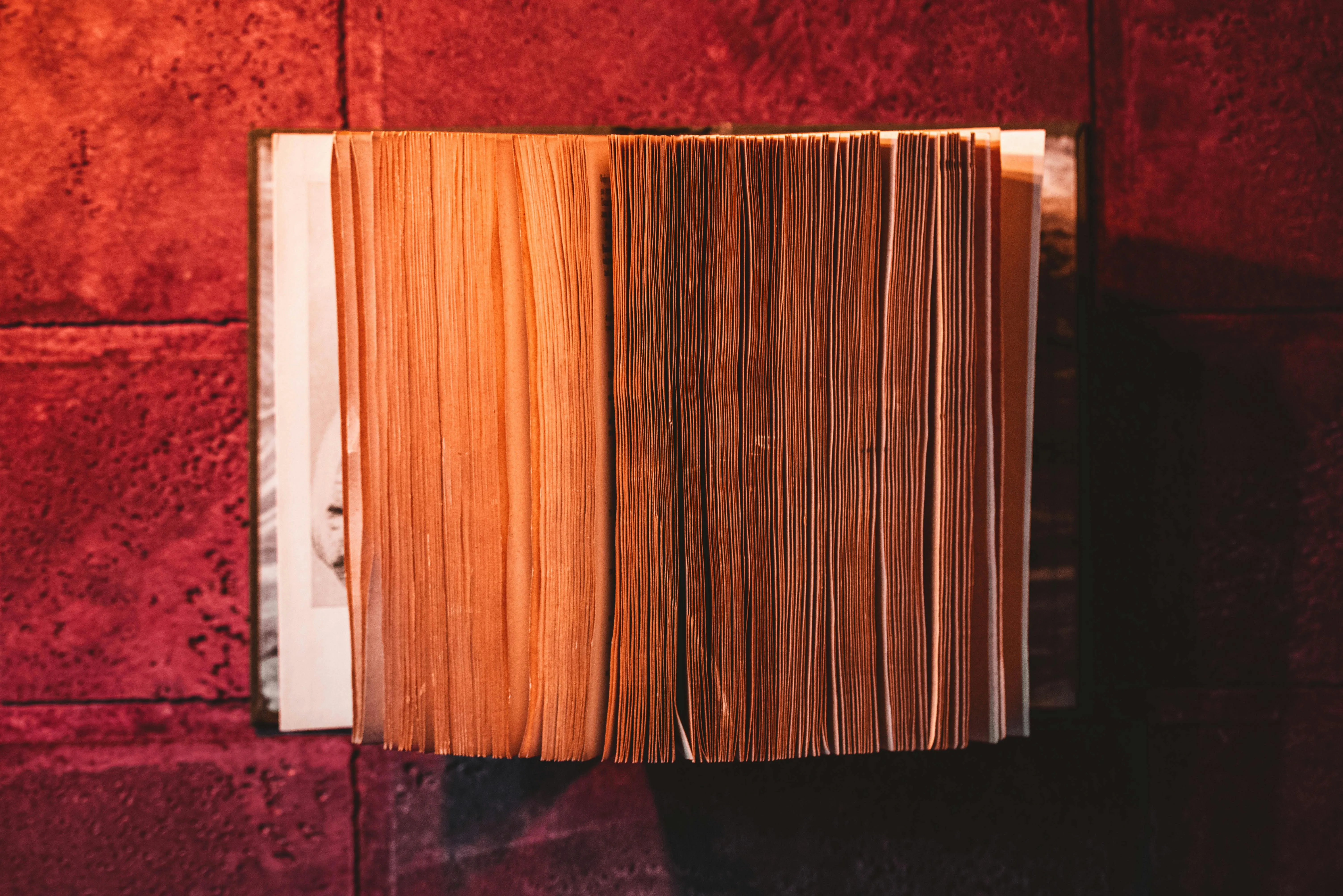 Stanislav Kondratiev on Pexels