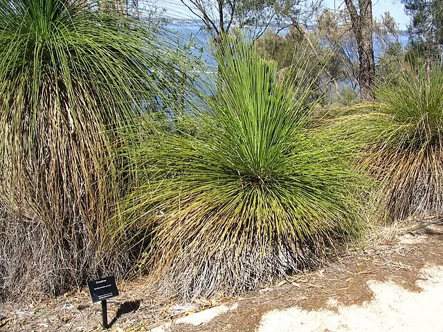 Dcoetzee on wikimedia