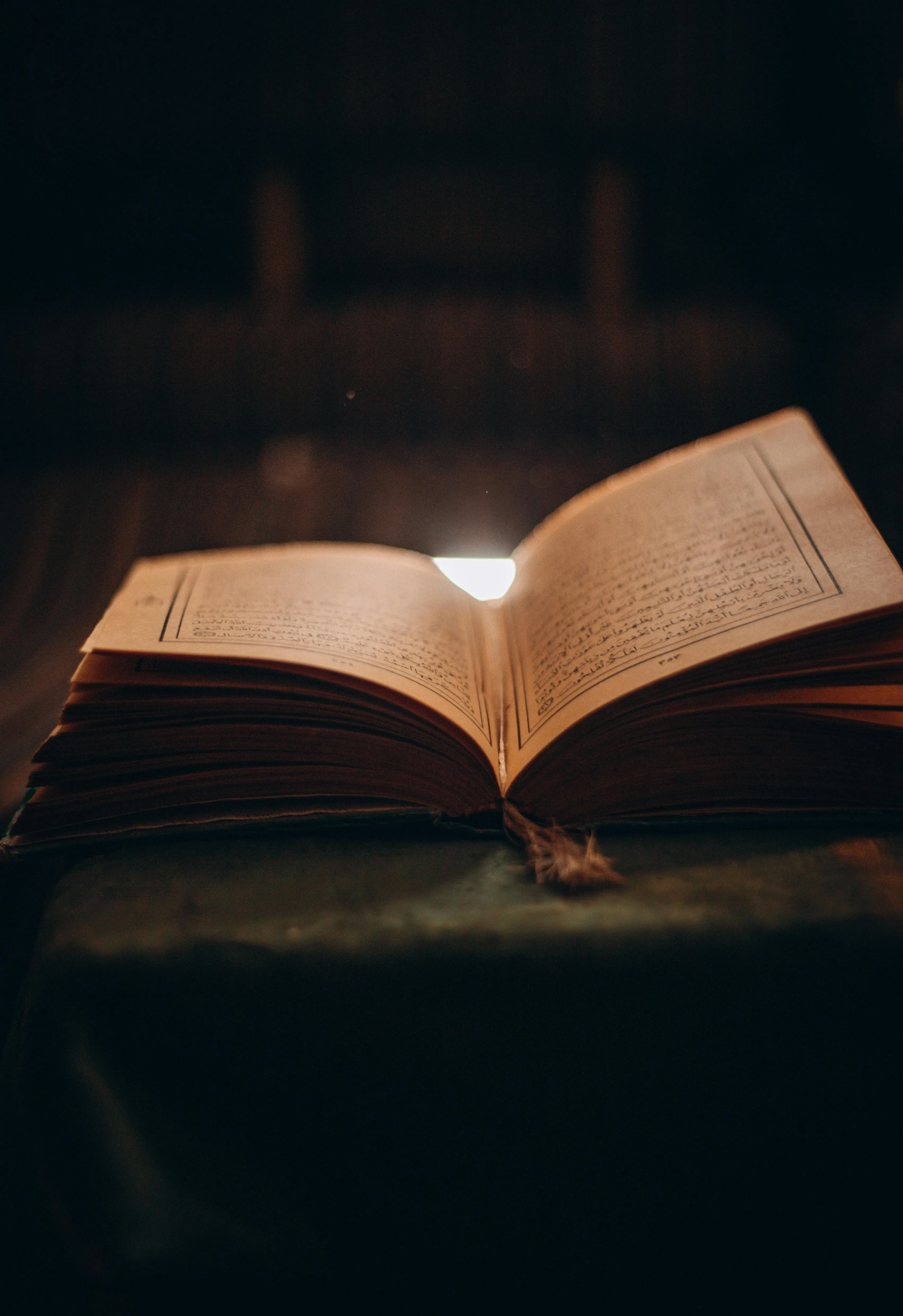 MD Photography on Pexels