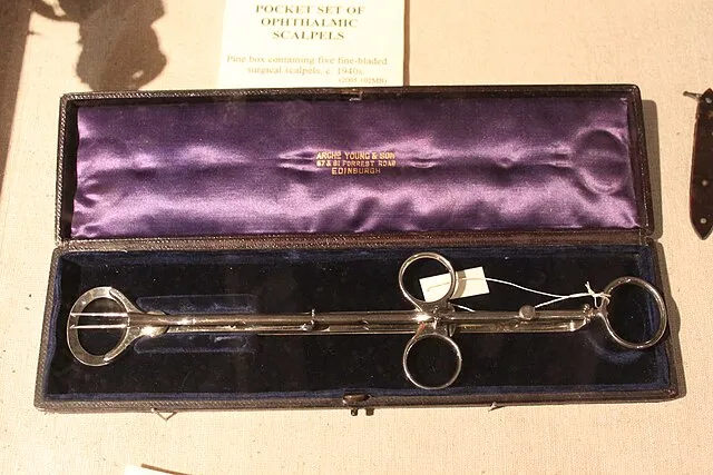 Jenny O'Donnell on Wikimedia Commons