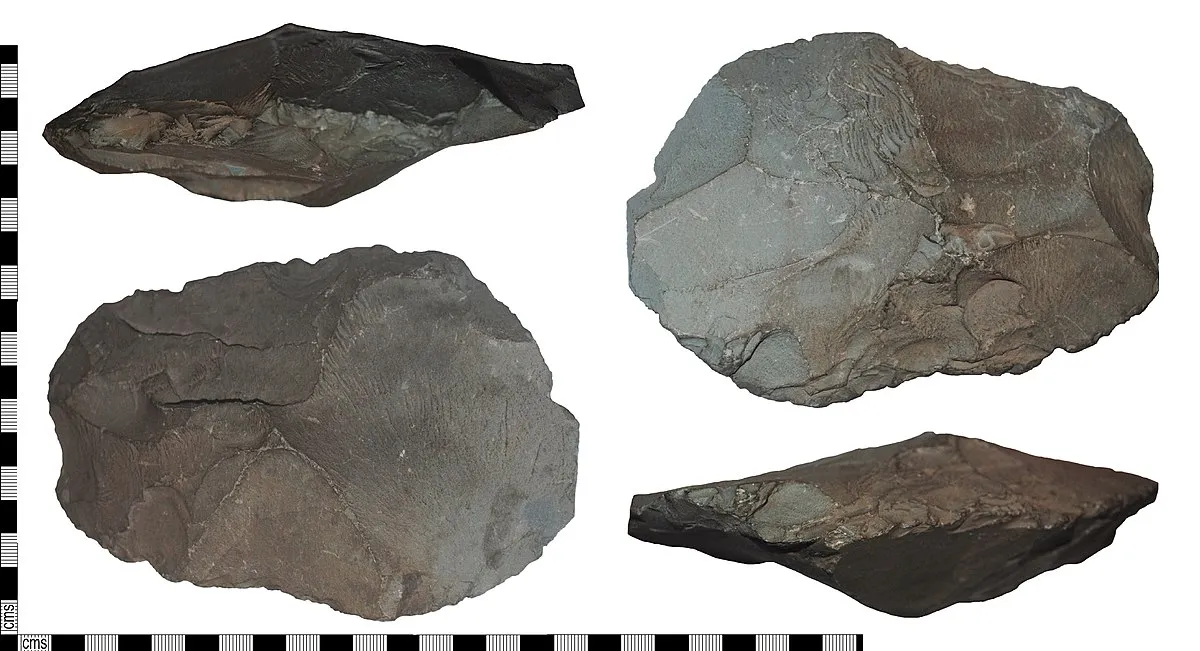 The Portable Antiquities Scheme/ The Trustees of the British Museum on Wikimedia Commons