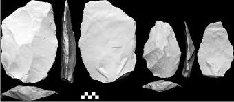 Image from link.springer.com