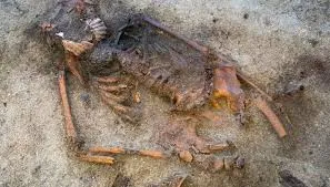 Image from Archaeology News