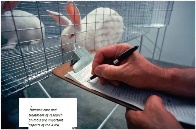 usda on Wikimedia Commons