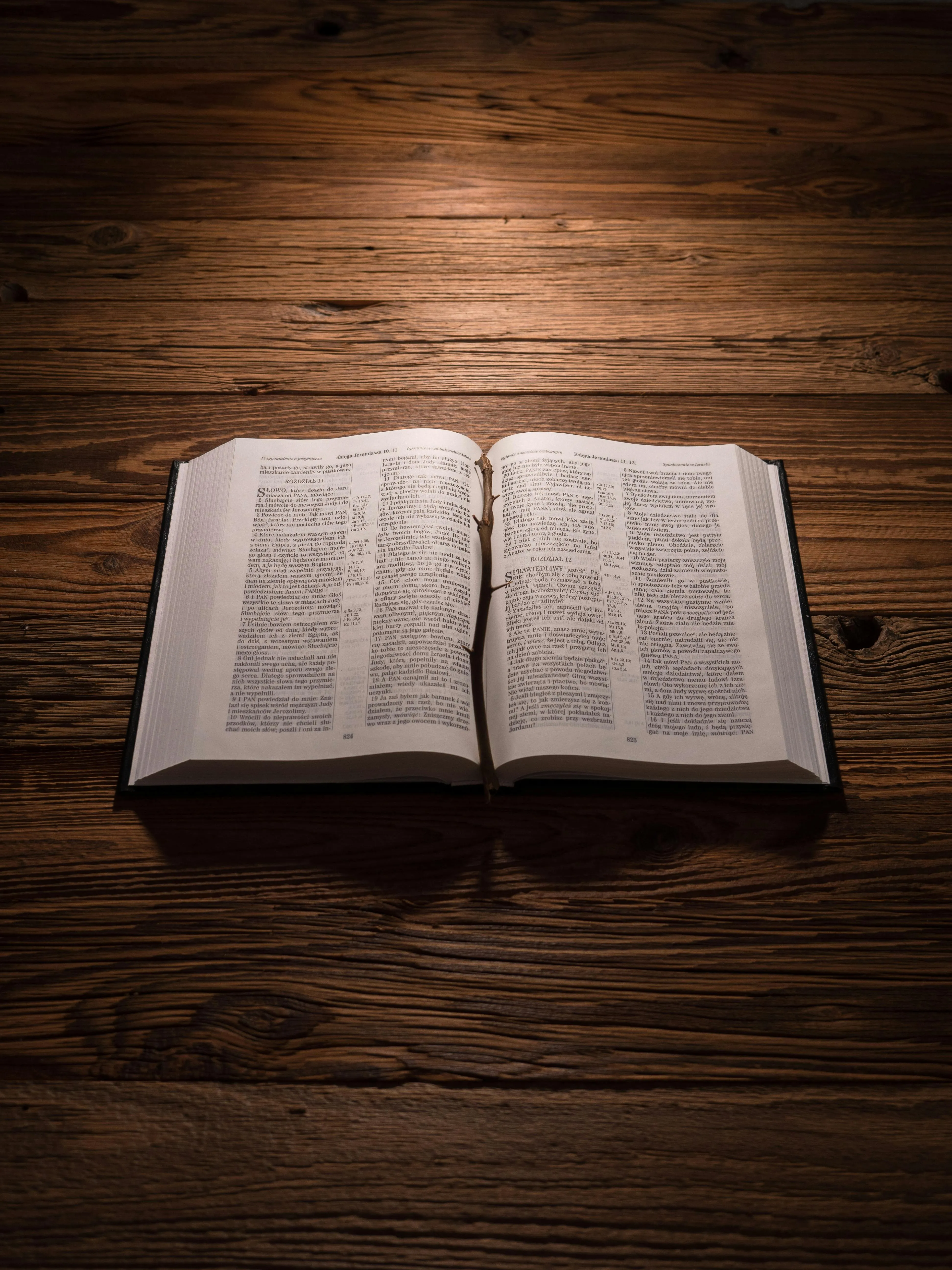 Roman Ziomka on Pexels