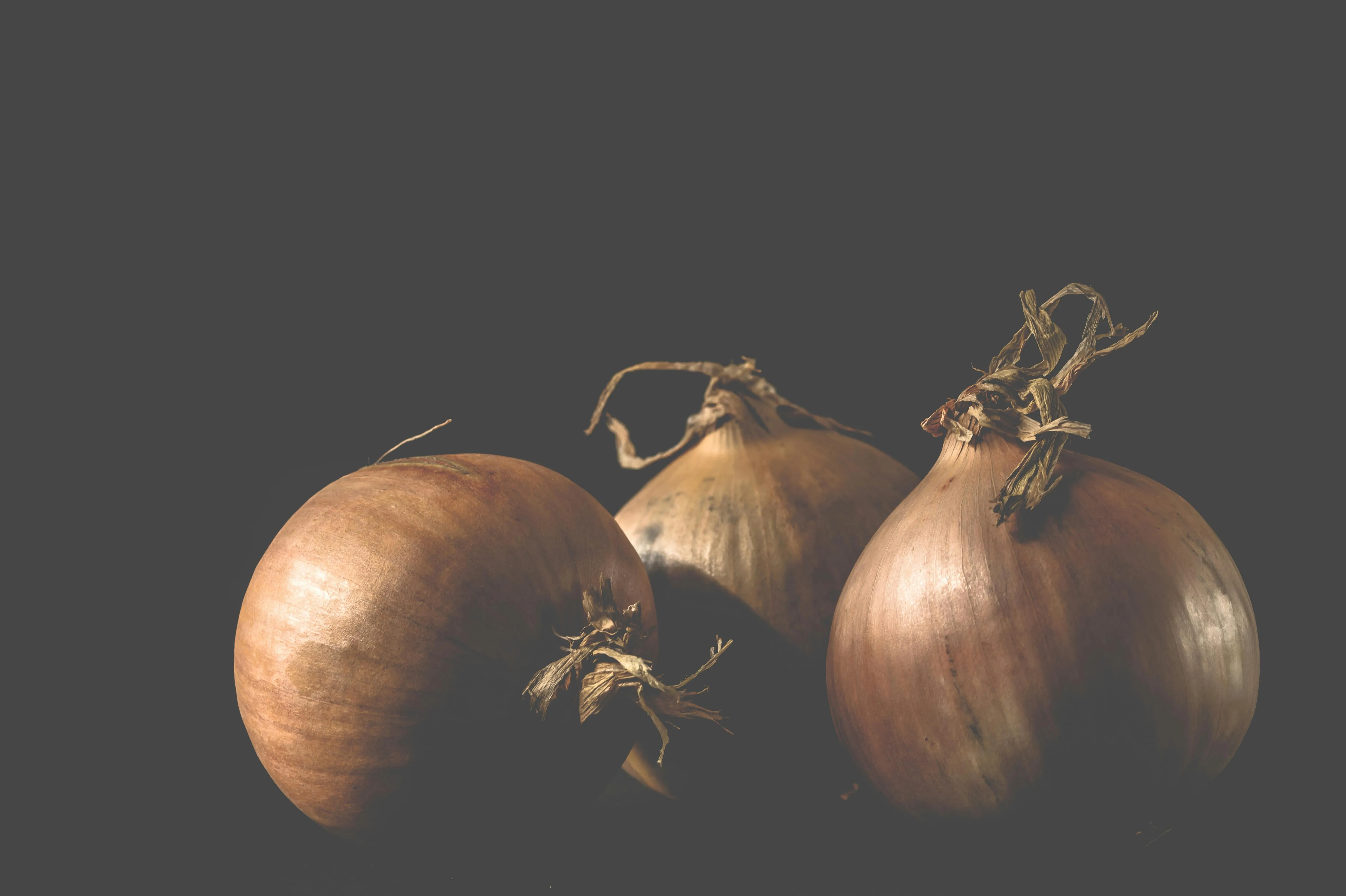 Ylanite Koppens on Pexels 
