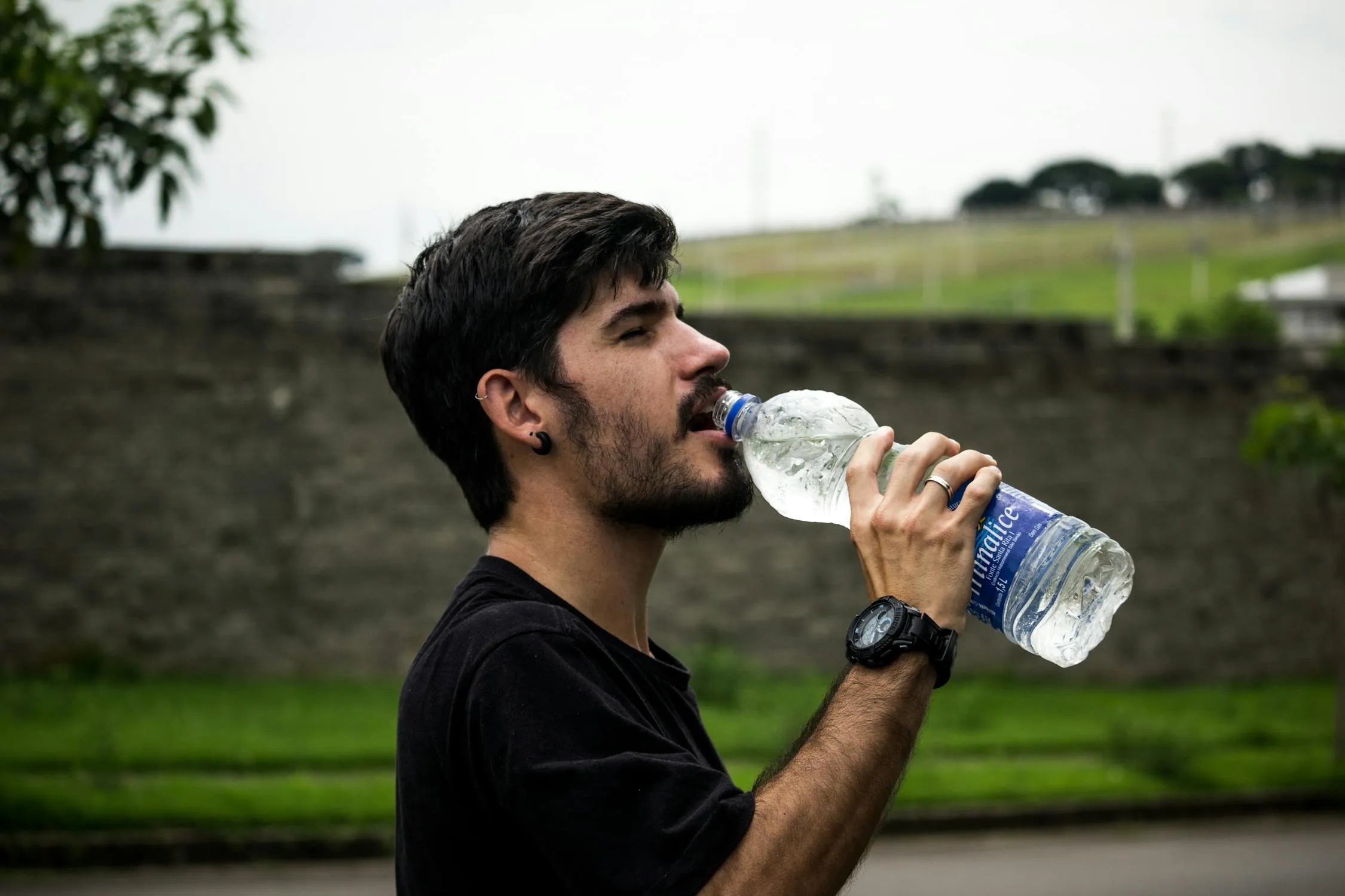 Maurício Mascaro on Pexels 