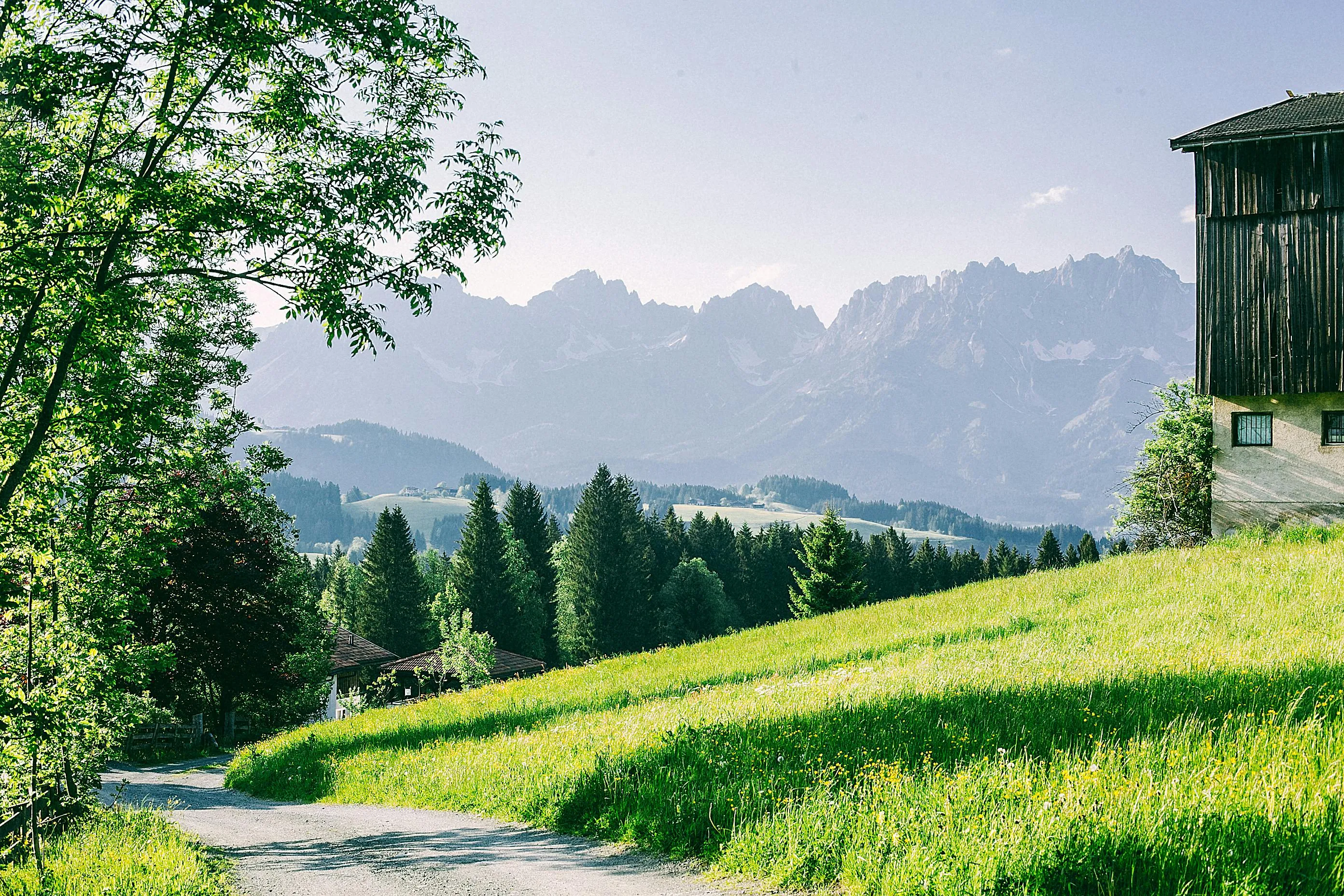 Maria Orlova on Pexels